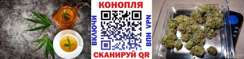 Cannafood конопля  продажа наркотиков  Староминская 