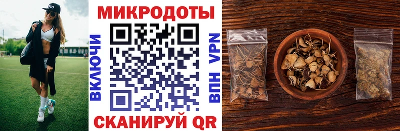 как найти закладки  Староминская  Галлюциногенные грибы Cubensis 